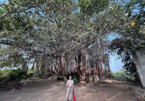 FB_IMG_1705936611048