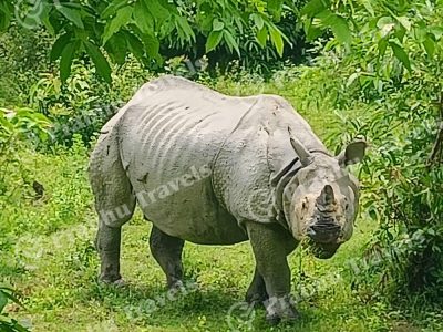 banner-three-sisters