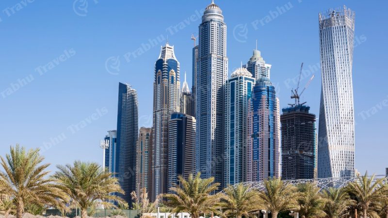 slider Skyscrapers and Palm Trees
